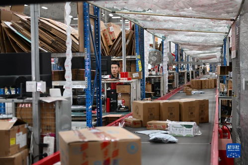 河北豐潤 打造區(qū)域性現(xiàn)代商貿(mào)物流產(chǎn)業(yè)集群 完善個人商務(wù)服務(wù)體系