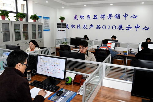 天水市麥積區(qū)電子商務(wù)公共服務(wù)中心揭牌運營，助力個人商務(wù)發(fā)展