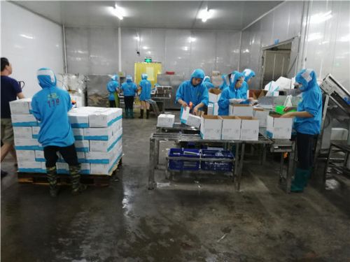 第三方專(zhuān)業(yè)驗(yàn)廠、生產(chǎn)環(huán)境檢查與商品檢測(cè)報(bào)告及禮儀服務(wù)全解析